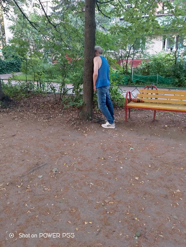Пишу насчёт лавочек на Школьной 12а...Если их снимут, буд...