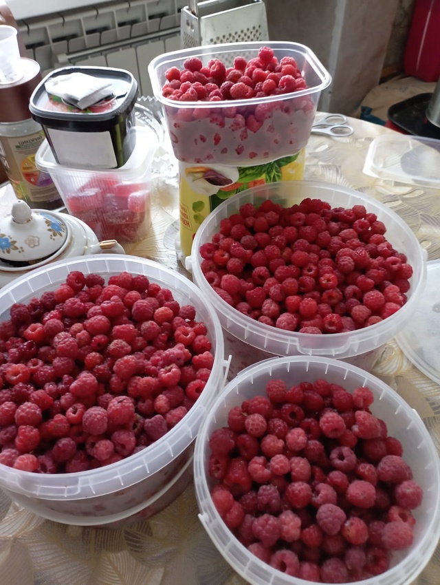 Продам лесную малину!
450р литр.
По всем вопросам обраща?...