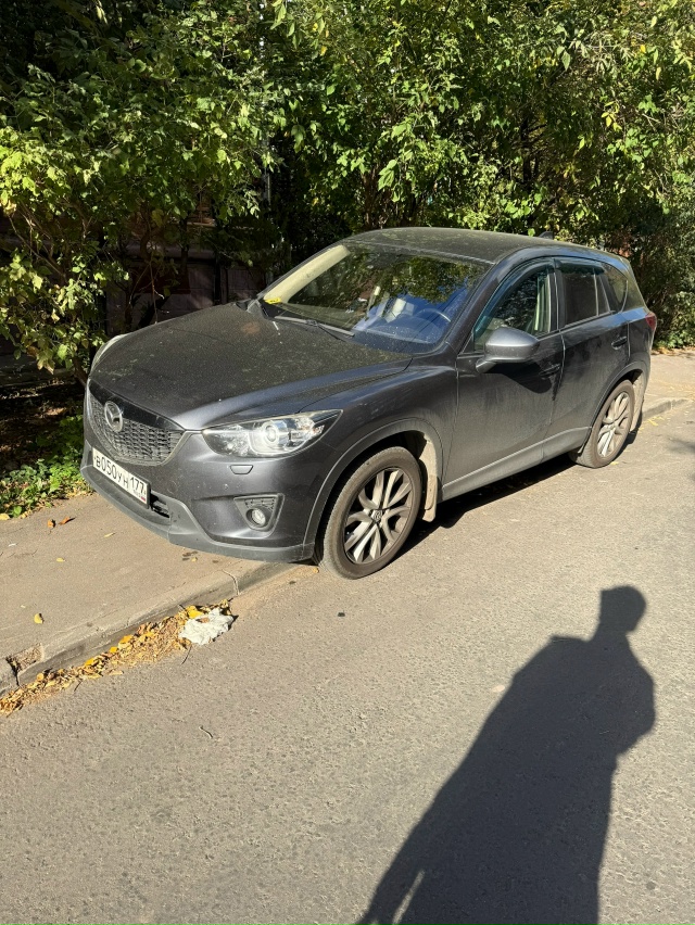 Вот так вот паркуют машину пенсионеры а потом говорите...