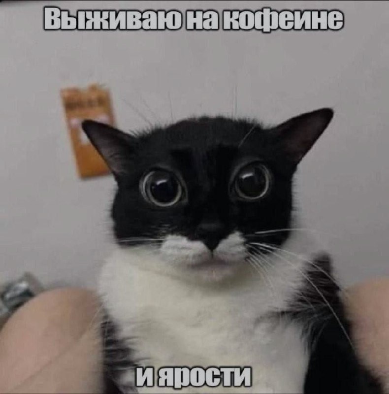 Ночная подборочка
Спать, режим