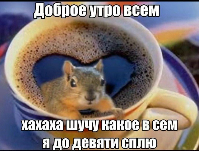 Поддерживаем!