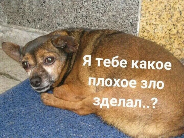 AMD скоро поднимет цены на видеокарты из-за подорожания ...