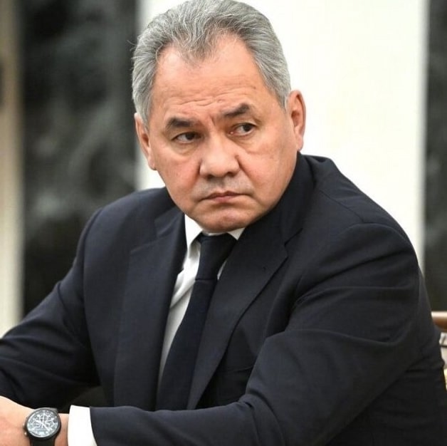Экс-министр обороны Шойгу анонсировал создание в Росс?...