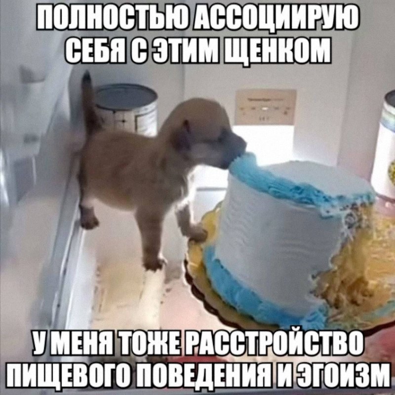 Утренняя подборочка