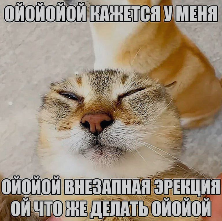 Ночная подборочка
Спать, режим