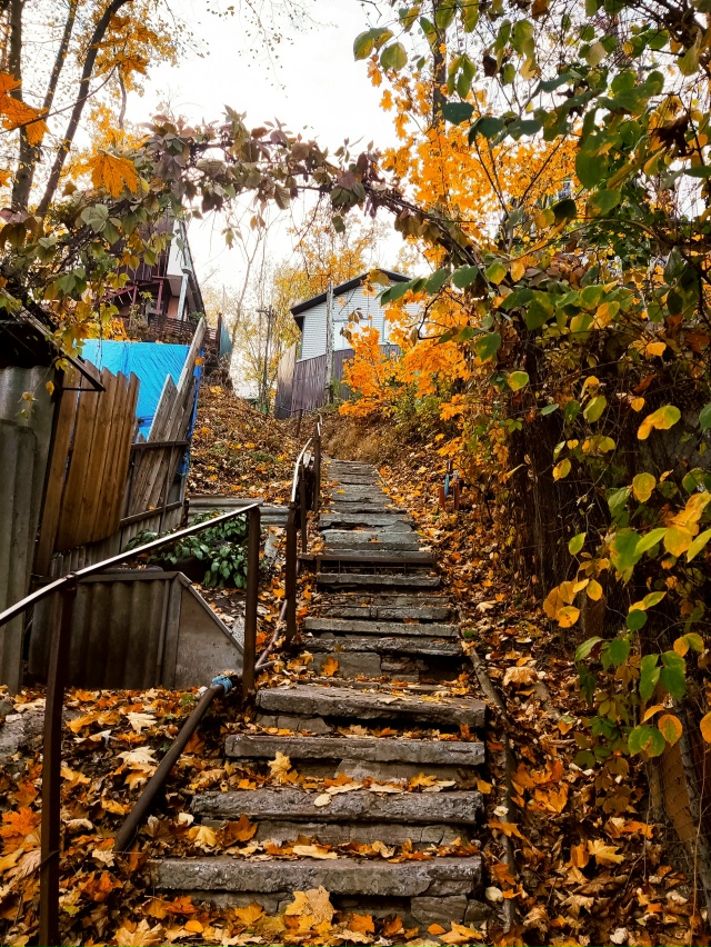 Осенний Воронеж, локация пос.Рыбачий🍁🍂