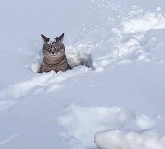 Россиян ждёт самая ХОЛОДНАЯ за последние 250 лет зима — ...