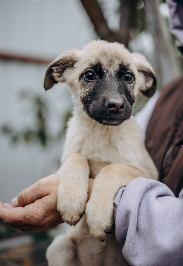 Здравствуйте! Разместите пожалуйста пост 🙏
Очень ище?...