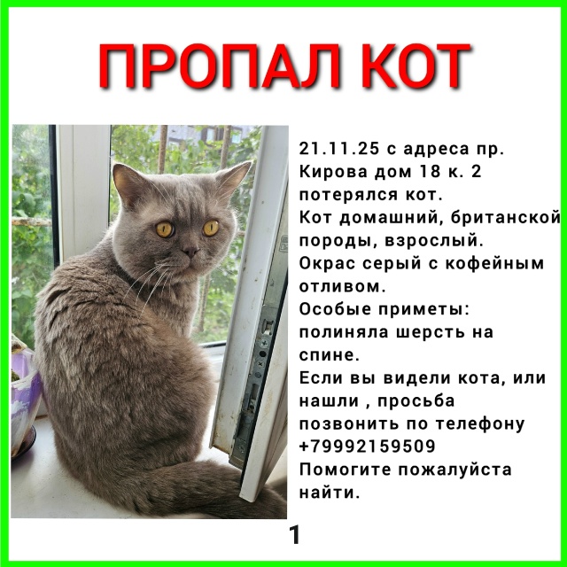 #ПотерялиНашлиПомогите
1 Потерялся кот, если видели п?...