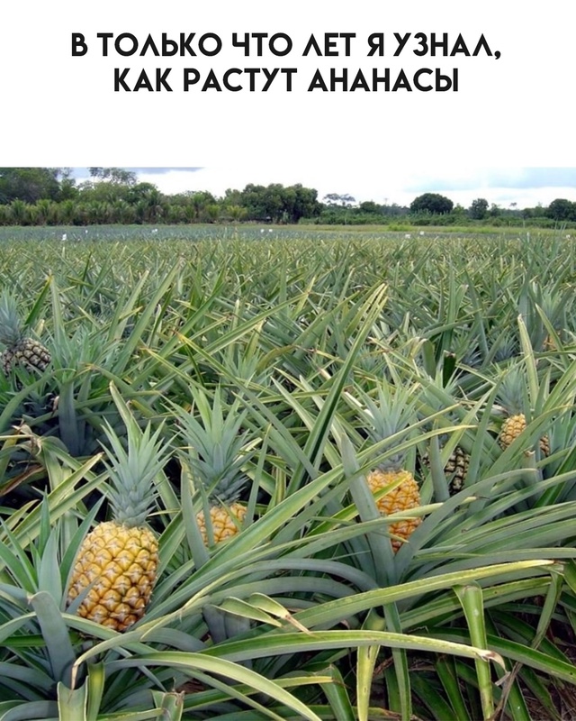 Время открытий.
