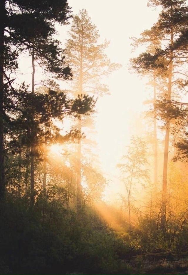 - Учитель, чтo тaкое Kapма?
– Kaрмa – это блaгoдарнocть Вселе?...