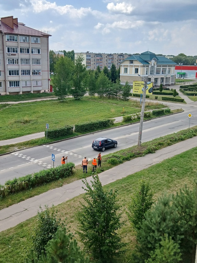 Уважаемая администрация, а вот эти кустики вам чем пом?...