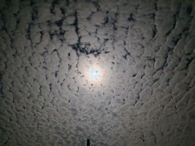 Небо этой ночью 🌕
От подписчика