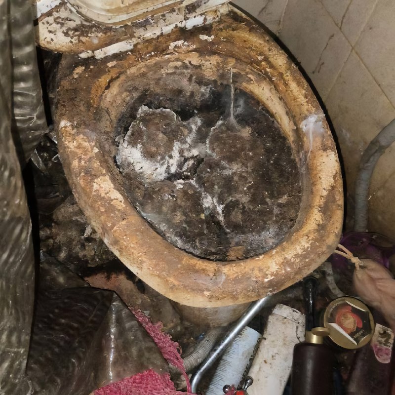 Российская альтушка превратила съёмную квартиру в свалку — среди мусора даже нашли мёртвую кошку
Жи