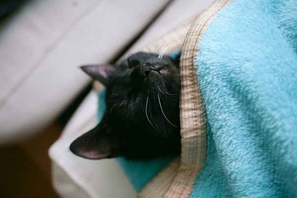 Приятных снов)