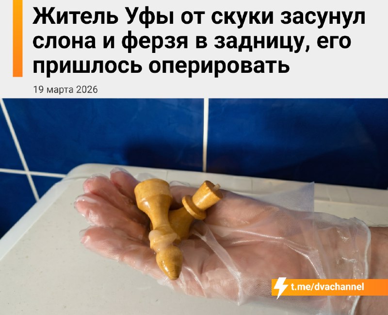 ⚡️Житель Уфы от скуки засунул себе в задницу шахматного слона и ферзя
41-летний мужчина рассказал,