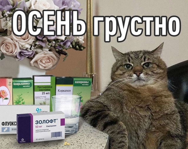 Россияне массово впадают в депрессию этой осенью — за ...