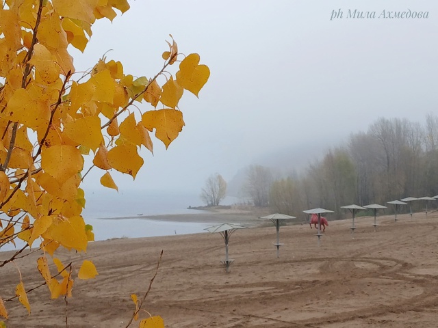 Осенние туманы на набережной. 🍁🌫
Самарская обл.