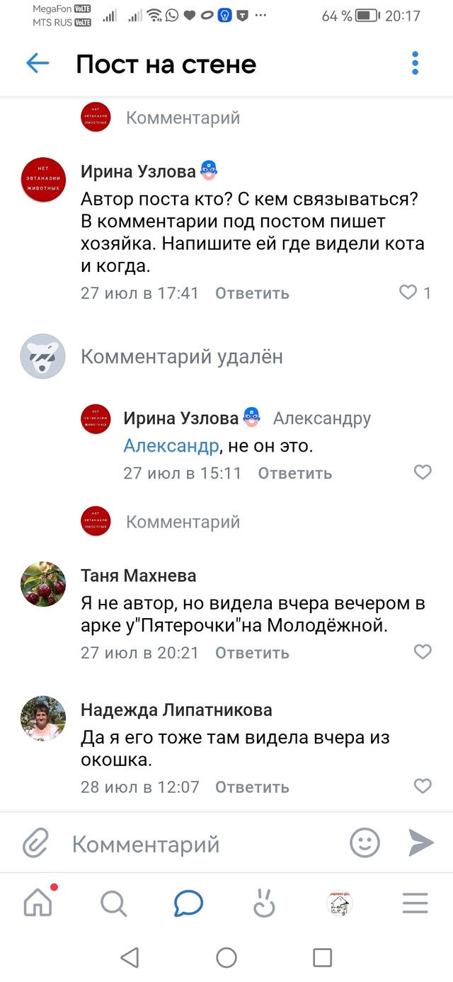 Был пост про белого кота. Под постом был комментарий хо...
