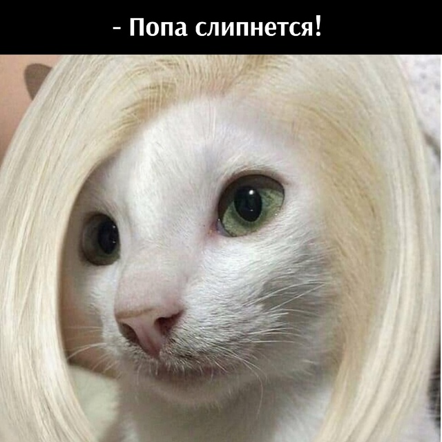 😂😂😂