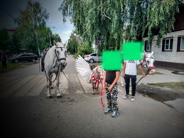 Дорогие земляки, с наступающим Днём Рождения нашего лю...
