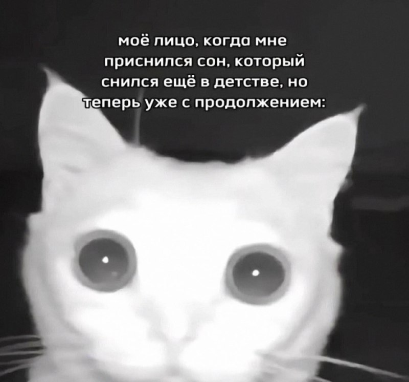 Утренняя подборочка