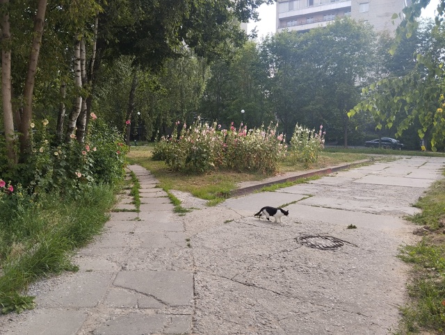 Ленина 27.Французский сад, Протвино