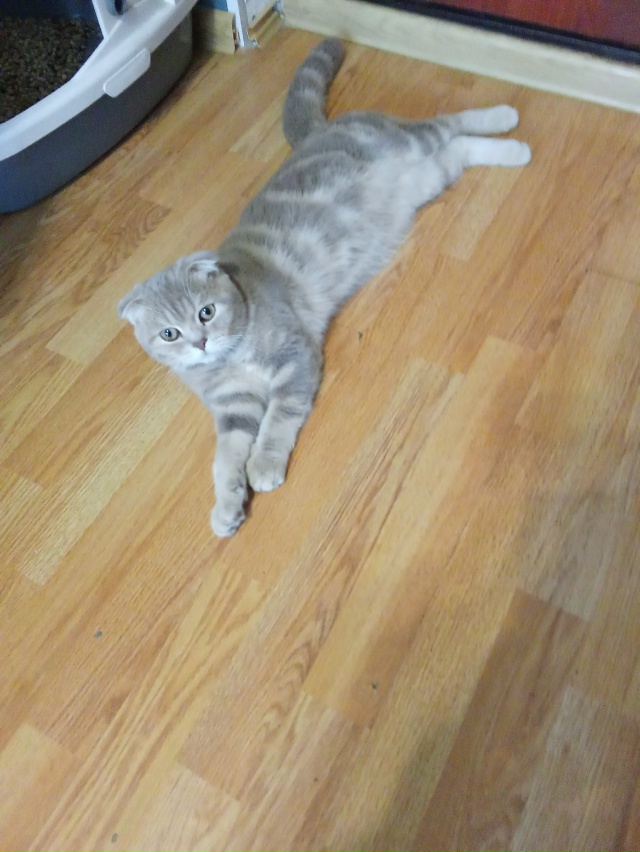 Говорят для нашего возраста мы жирноваты, думаю врут))) ...