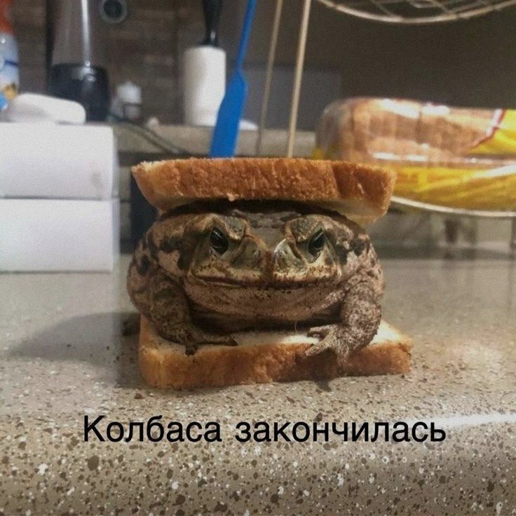 Ночная подборочка
Спать, режим