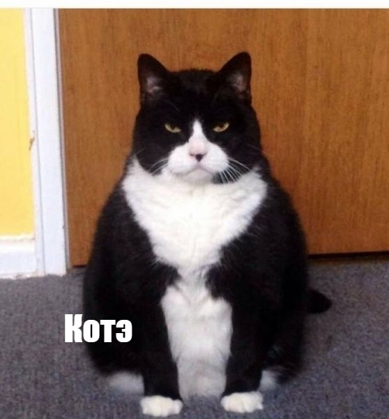 Какие они все-таки разные, но такие любимые?