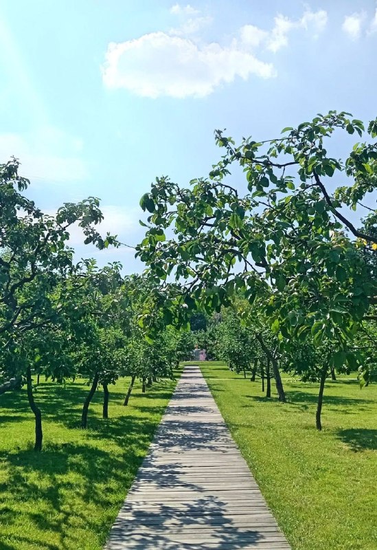 Мичуринский сад, ВДНХ🍏
Фото: Ксения Федосова