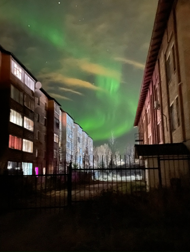 красота