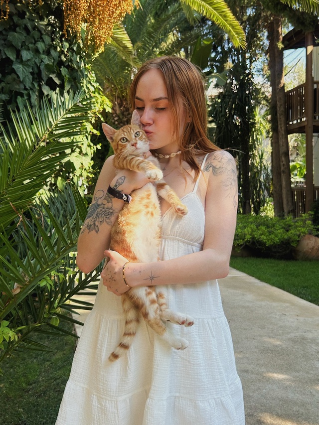 Супер милый рыжий котик