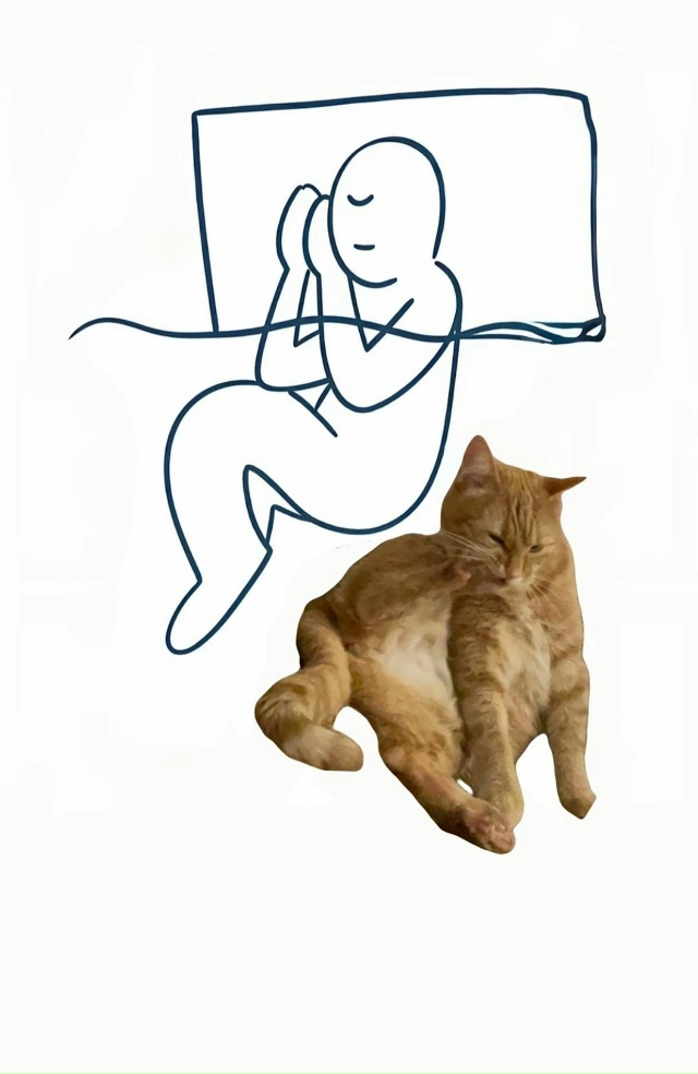 Трудно представить если будет два кота