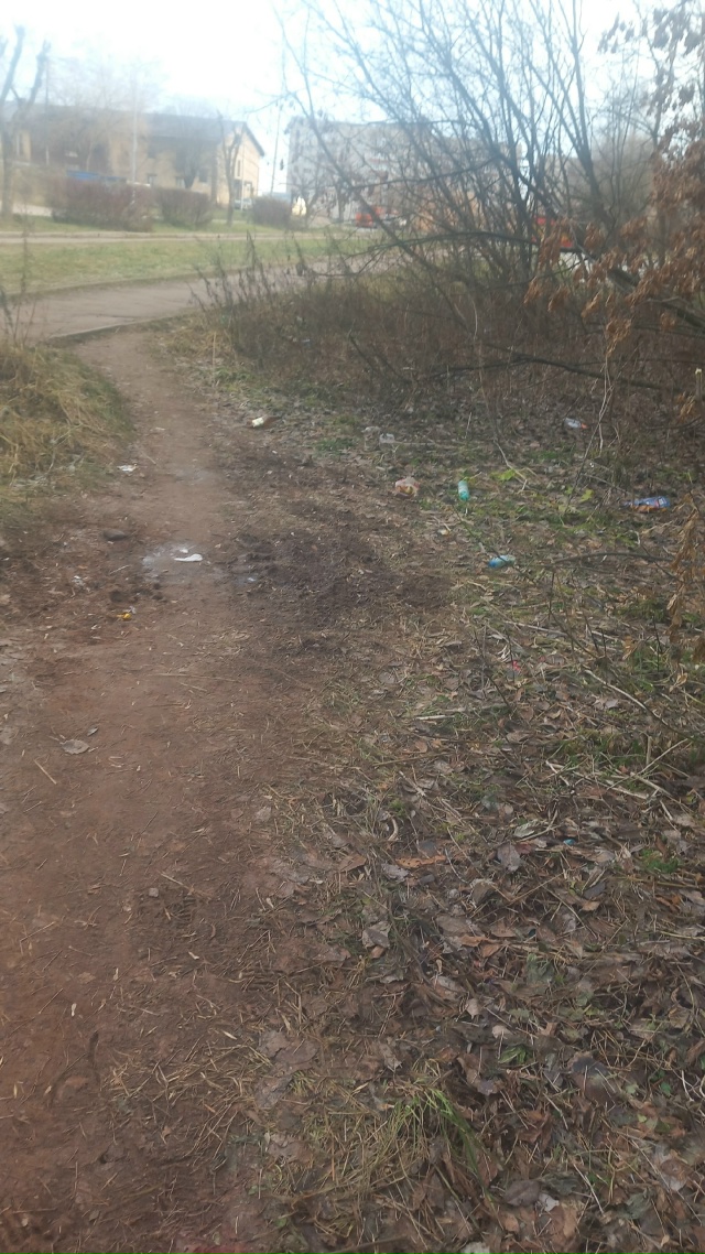 Вот такое безобразие годами не убирается