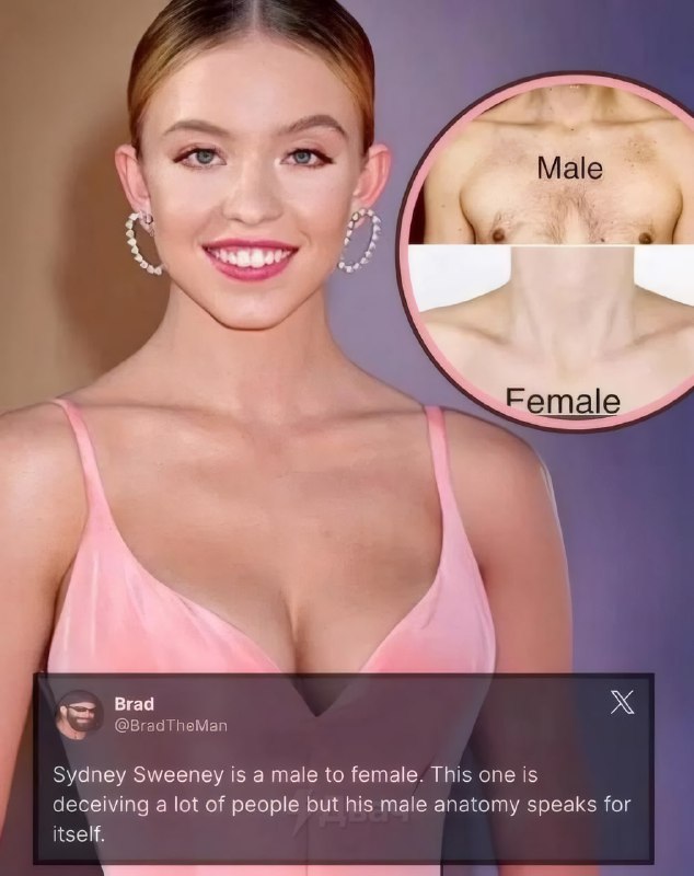 Американские праваки разгоняют тему, что Сидни Суини изначально была парнем
В соцсетях уже нескольк