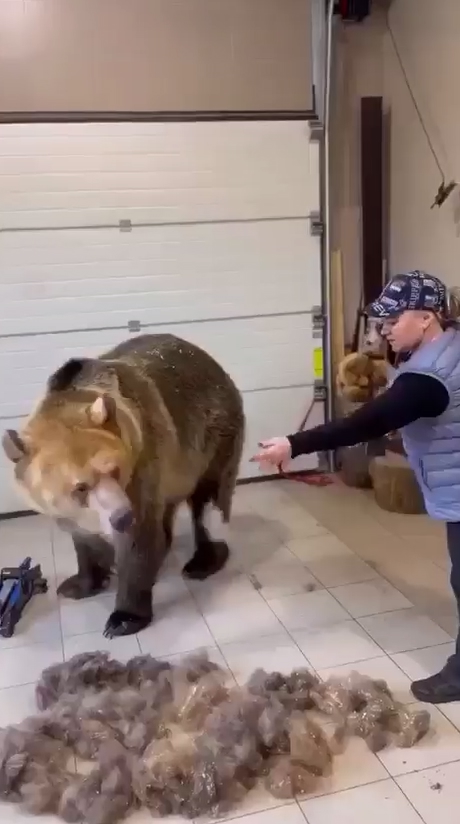 Когда страх раздавали - про неё забыли