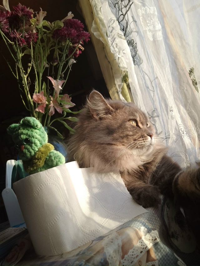 Принимаем солнечные ванны и витамин 