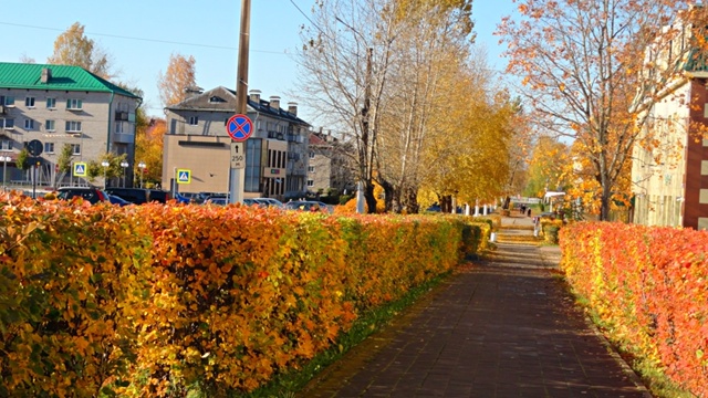 Золотая осень в родном Подпорожье