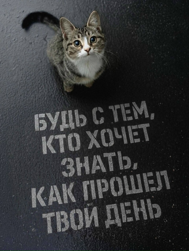 Пересылайте посты близким, ставьте реакции - это лучша?...