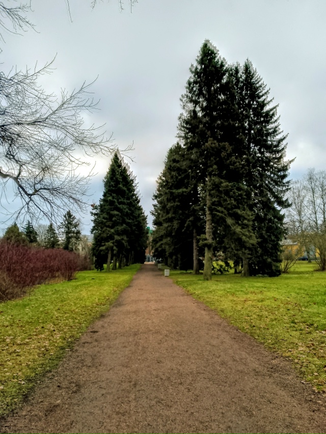 4 день зимы в Петергофе