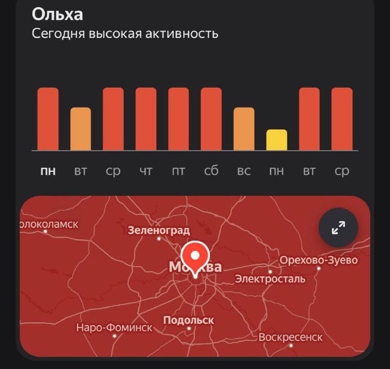 🌿 Пик цветения берёзы придётся на первую-вторую декады мая Берёза — главный и самый агрессивный ал