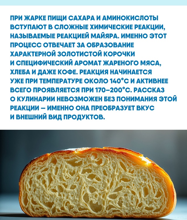 Реакция Майяра — это не просто кулинарный секрет, а ва?...