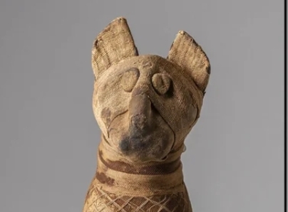 Мумифицированная кошка, завёрнутая в льняную ткань. Ег...