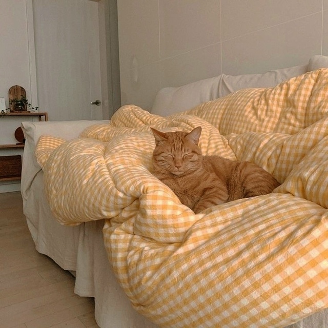 Выходной - это доброе утро переходящее в прекрасный де?...