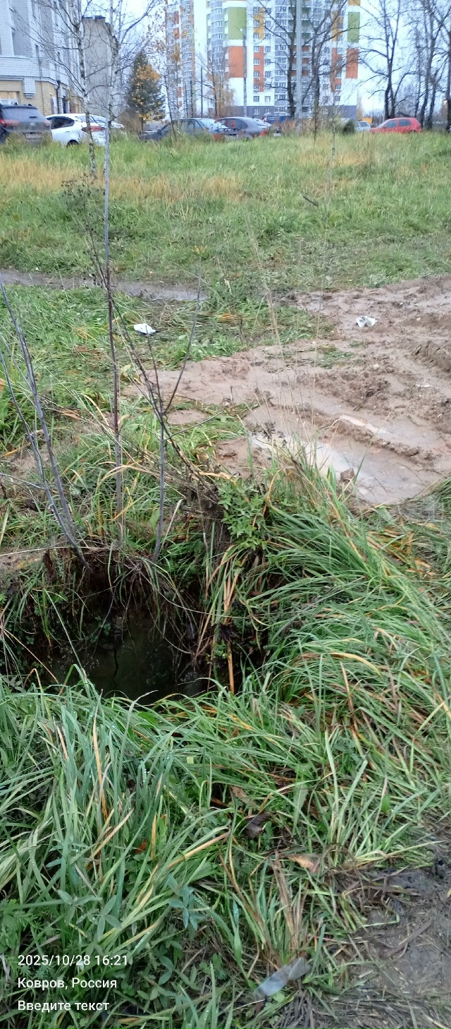 Вот такое безобразие творится недалеко от швейной фаб?...