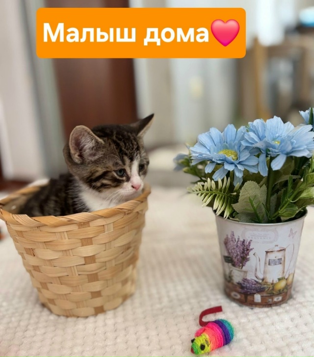 Отрадное ЛО
Дорогие, добрые люди)
13.07 на улице г. Отрадн...