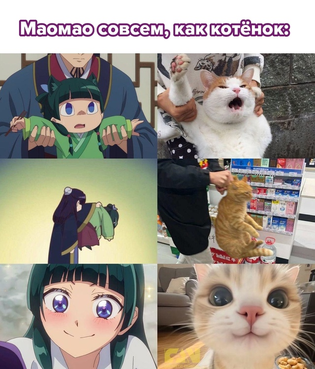 #мемы@fantv_ru