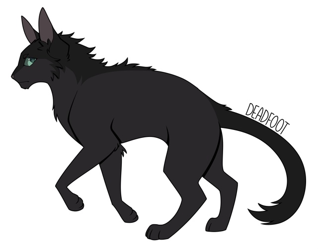 Хмуролика и Колченогий
© skyperch
#KV_ZZ_ART