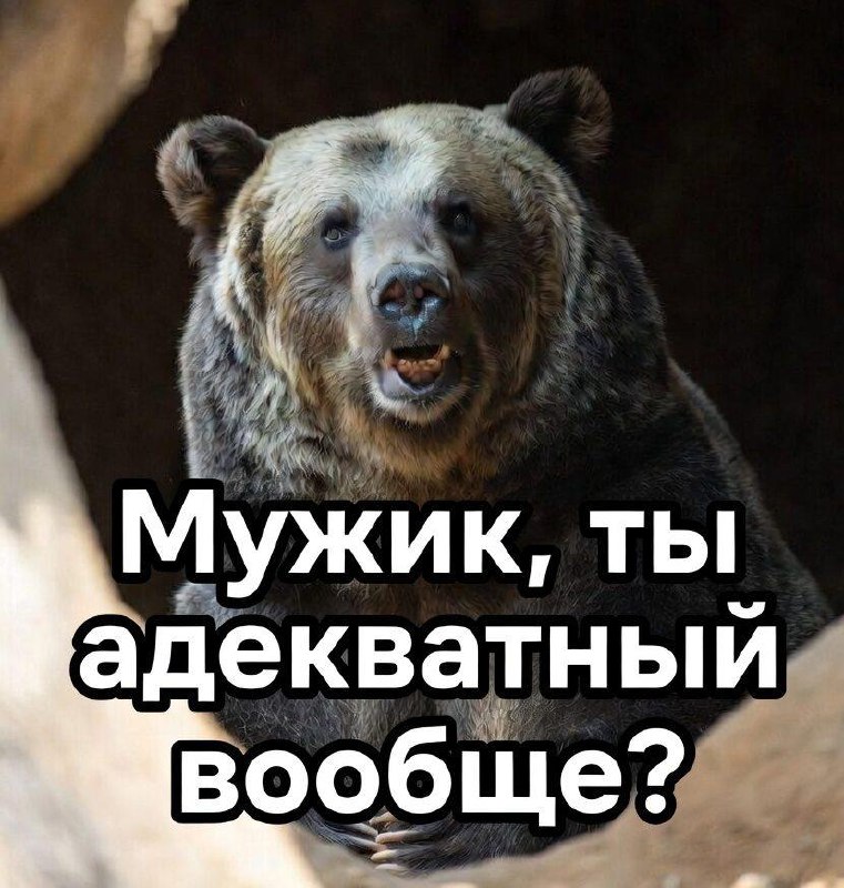 Пожилой японец провалился в берлогу, разбудил медведя и избил его.
Инцидент произошёл на горе Ивак